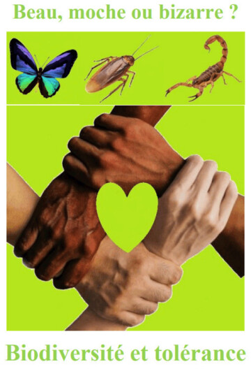 Atelier Beau, moche et bizarre ?