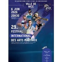 29e festival des arts martiaux de nice