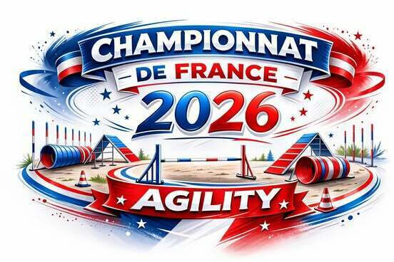 Championnat de France d'agility