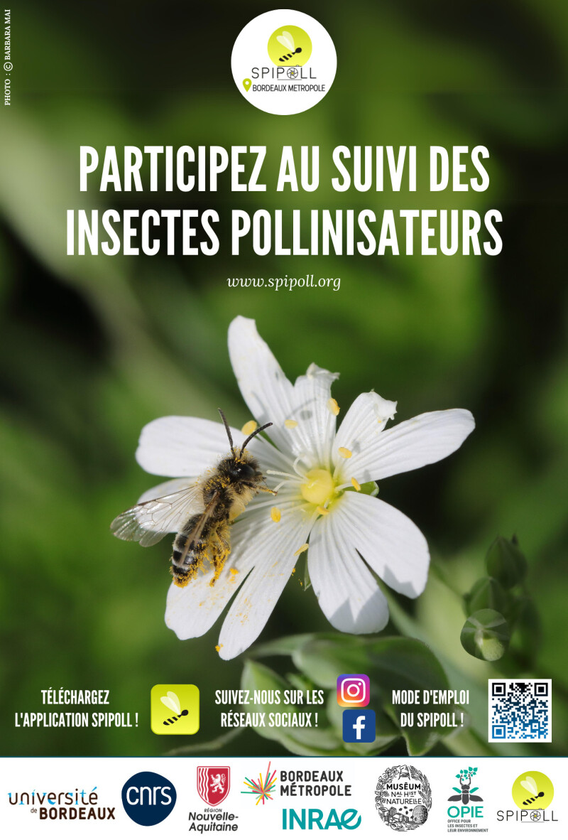 Atelier SPIPOLL : participez au suivi des insectes pollinisateurs