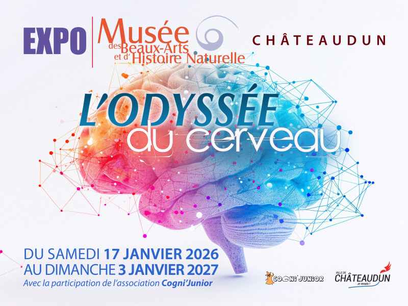 Exposition "l'odyssée du cerveau"