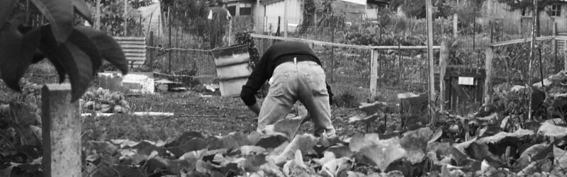 Rando-Paysage : exploration des paysages de la ville nourricière