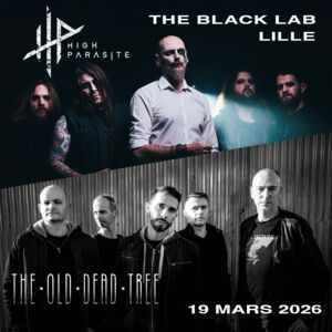 HIGH PARASITE + THE OLD DEAD TREE