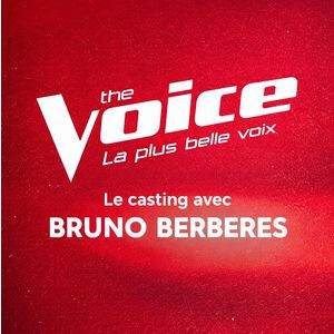 THE VOICE, LE CASTING OFFICIEL