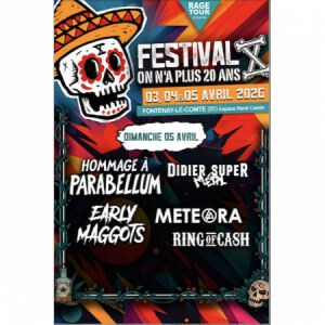 FESTIVAL ON N'A PLUS 20 ANS X - BILLET 1 JOUR DIMANCHE