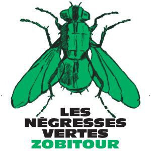 Les Negresses Vertes + 1ère partie