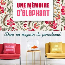 Une Mémoire d'Eléphant dans un Magasin de Porcelaine
