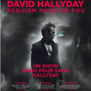DAVID HALLYDAY
