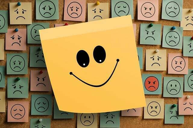 La médiathèque se déplace à la MAM