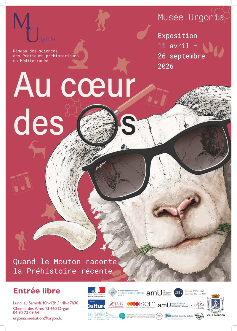 Visite commentée de l’exposition temporaire « Au cœur des os, quand le mouton raconte la Préhistoire récente »