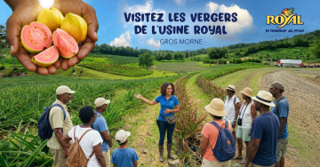 VISITEZ LES VERGERS DE L'USINE ROYAL