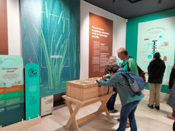 Visite flash de l’exposition temporaire « Les méandres du passé » !