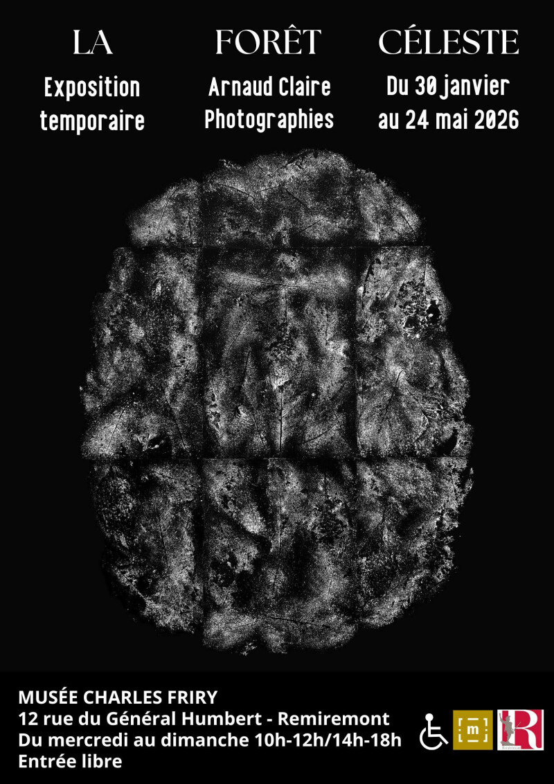 Exposition « La forêt céleste. Photographies d'Arnaud Claire »