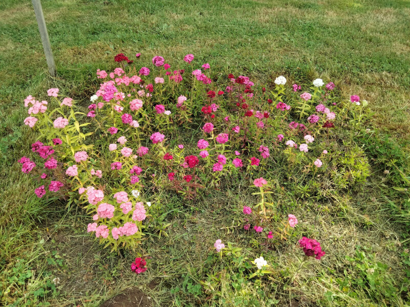 Rendez-vous aux jardins