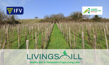 Démonstration - Journée technique sur la santé des sols (49)