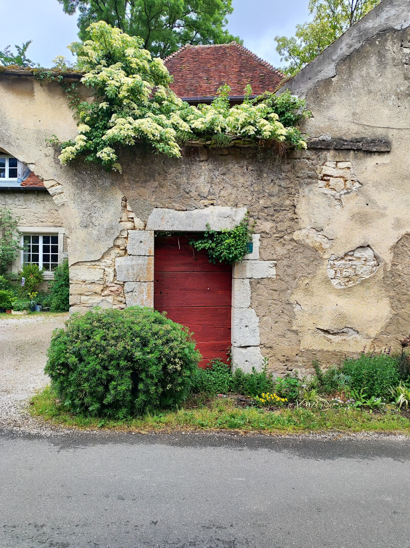 Visite du jardin Annabelle