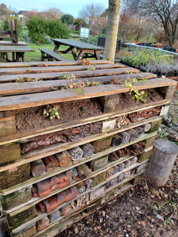 [ATELIER CRÉATIF] Atelier création d'un hôtel à insectes collectif