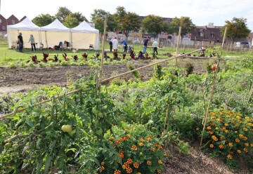 PERMANENCE A LA MICROFERME COMMUNALE POUR L'ENTRAIDE ALIMENTAIRE