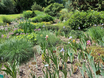 Visite guidée du parc zoologique et botanique