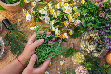 Conférence sur la naturopathie