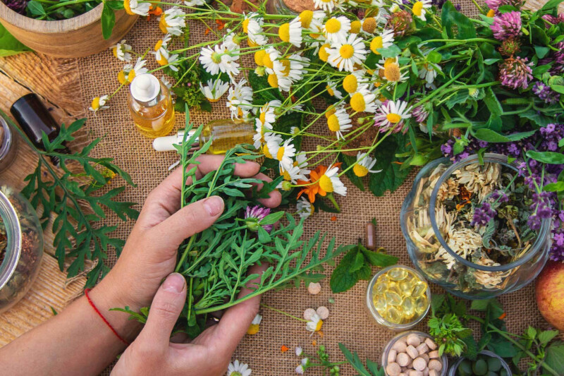 Conférence sur la naturopathie