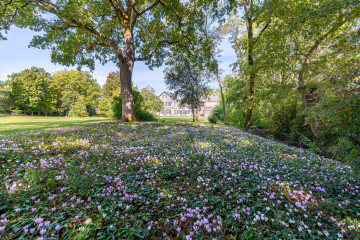 Découverte du futur jardin du moulin de la Charlotte