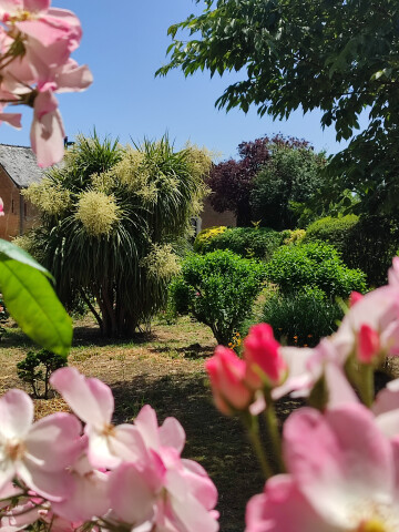 Découvrez le Jardin de Serge