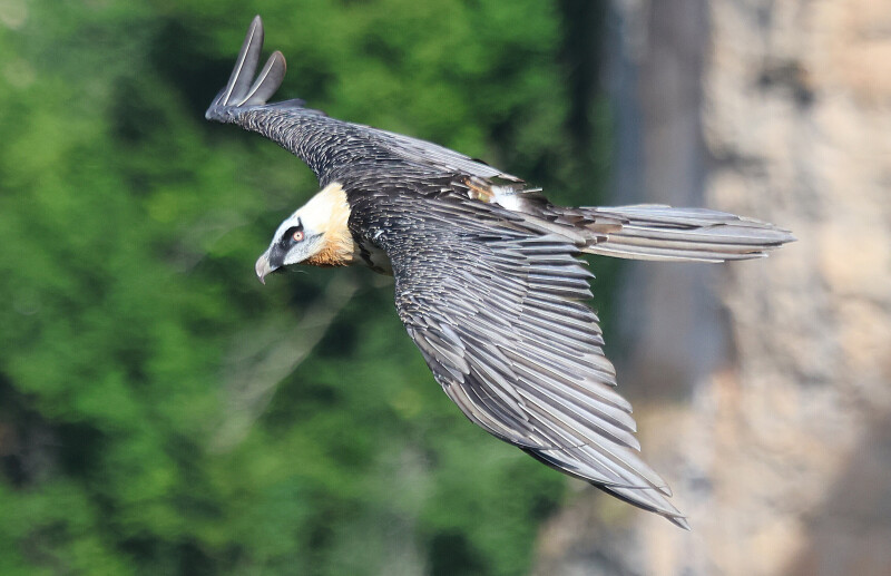 Exposition "Lumières cévenoles"