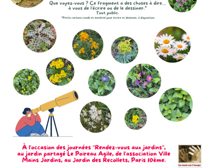 Longue-vue au jardin