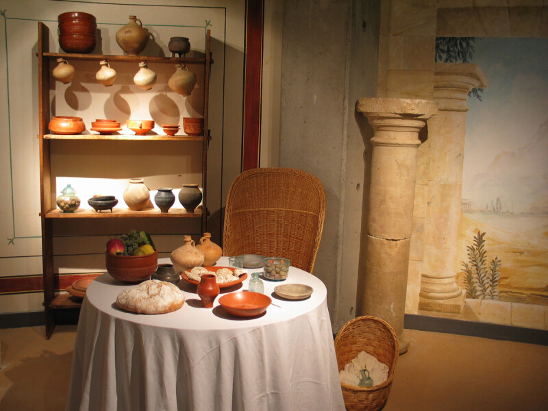 Visites guidées thématiques du musée