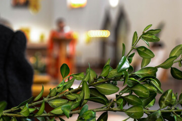 Célébration du dimanche des Rameaux