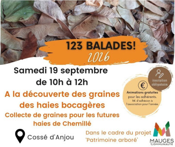 A la découverte des graines de haies bocagères