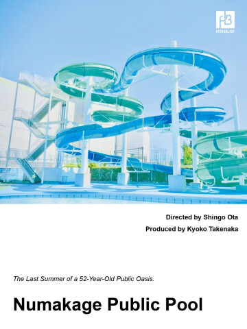 NUMAKAGE PUBLIC SCHOOL