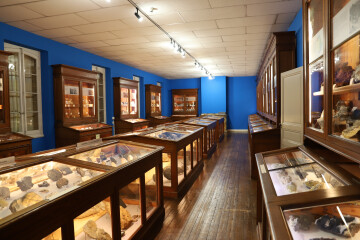 Visite libre du muséum Philadelphe Thomas