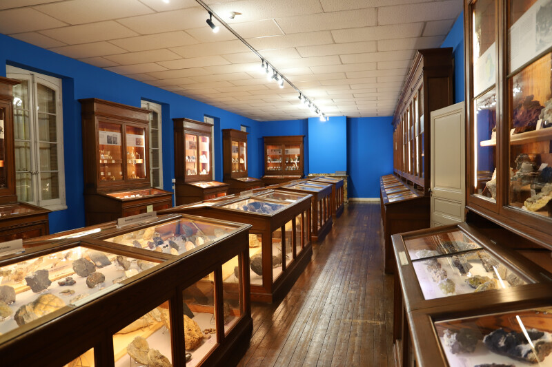 Visite libre du muséum Philadelphe Thomas