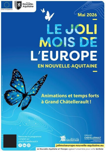 Simulation du parlement Européen en partenariat avec l'association Eurofeel