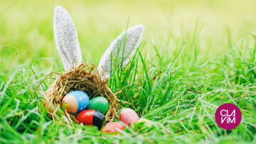 Chasse aux œufs de la Maison des Épinettes