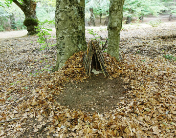 Rencontre "Lure : l'ombre, la matière et la fiction", avec Francis Helgorsky