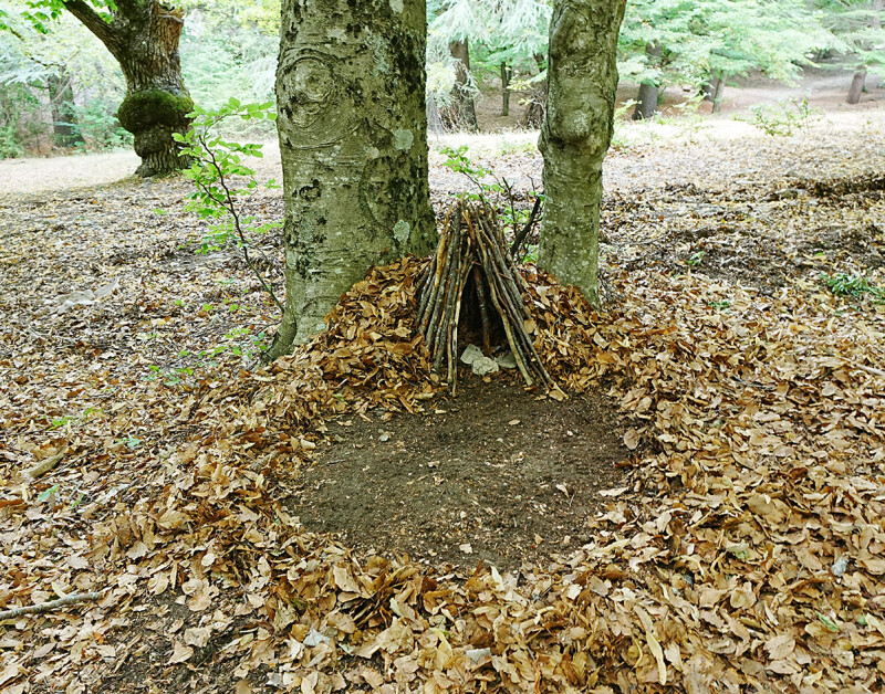 Rencontre "Lure : l'ombre, la matière et la fiction", avec Francis Helgorsky