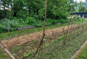 Démarrer un potager au naturel