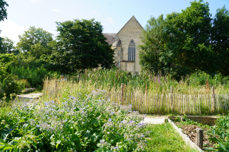 Visite du parc et du jardin permacole de l'Abbaye Royale de l'Epau