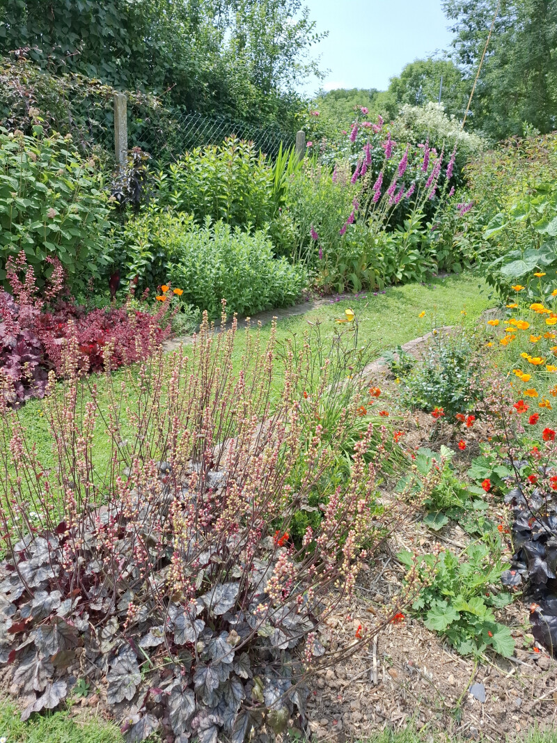 Visite d'un jardin personnel entre ville et campagne