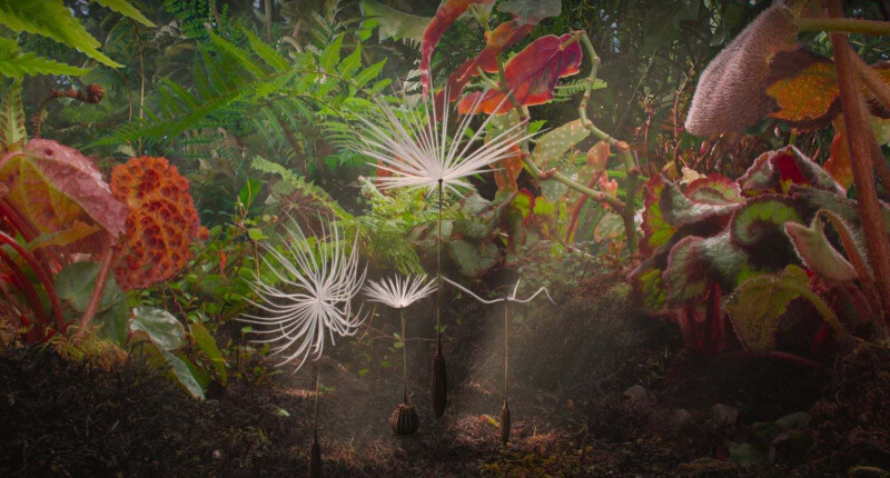 Atelier "bombes à graines" autour du film Planètes !