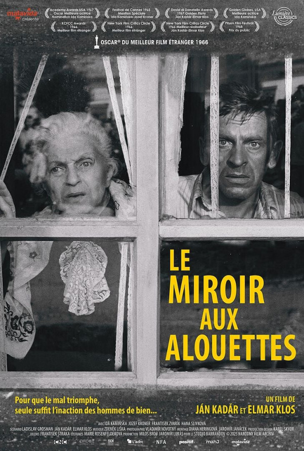 LE MIROIR AUX ALOUETTES