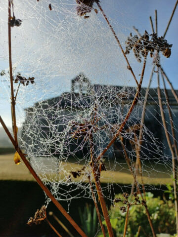 Les noctambules de Salagon
