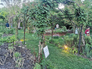 Atelier photo par l'Œil du Goupil