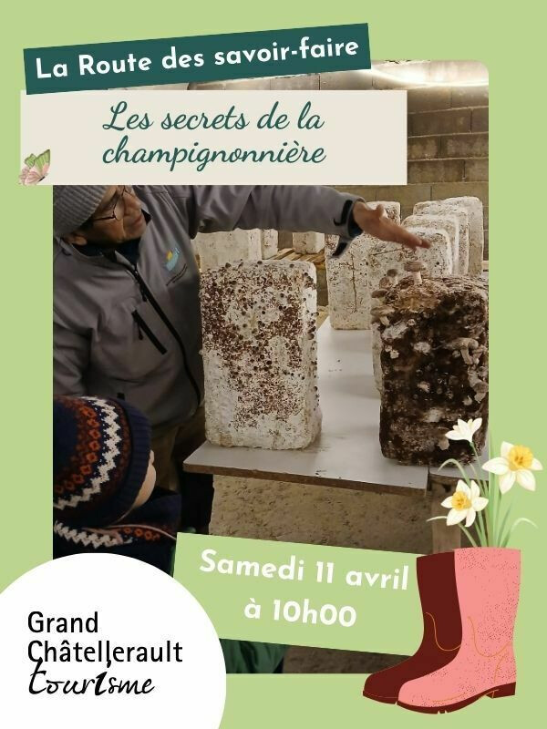 Les secrets de la champignonnière