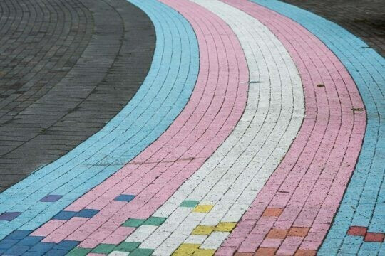 Belgian Theory #1 : Hors des normes ? Les personnes trans dans la société