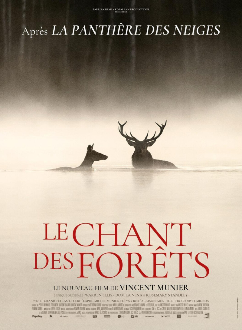 LE CHANT DES FORETS