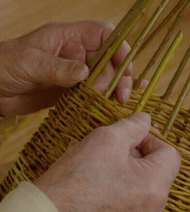 Stage vannerie sauvage